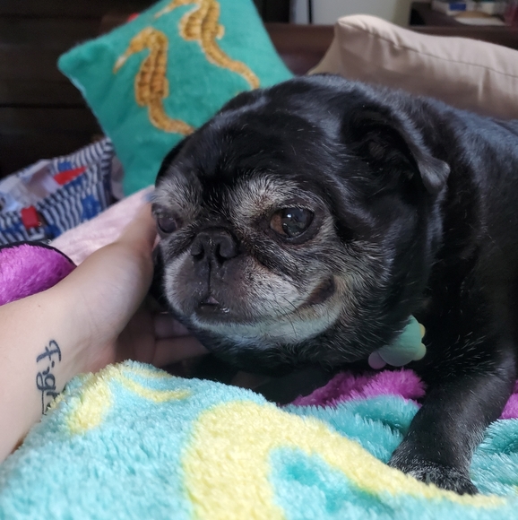 ❗FOLLOW GAME❗ - Picture 4 of 5